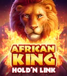 African Wildwinz Hold'N'Link