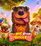 The Big Dog House